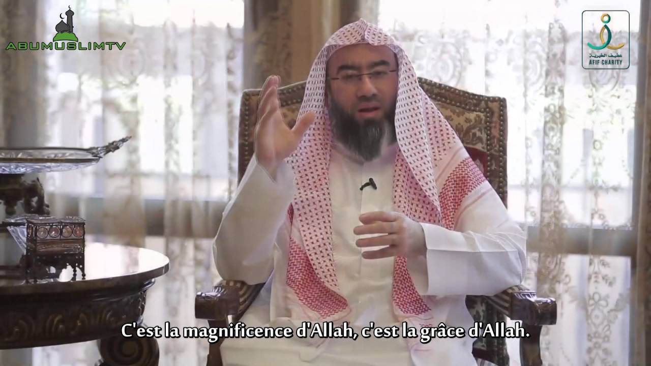 elahi_02