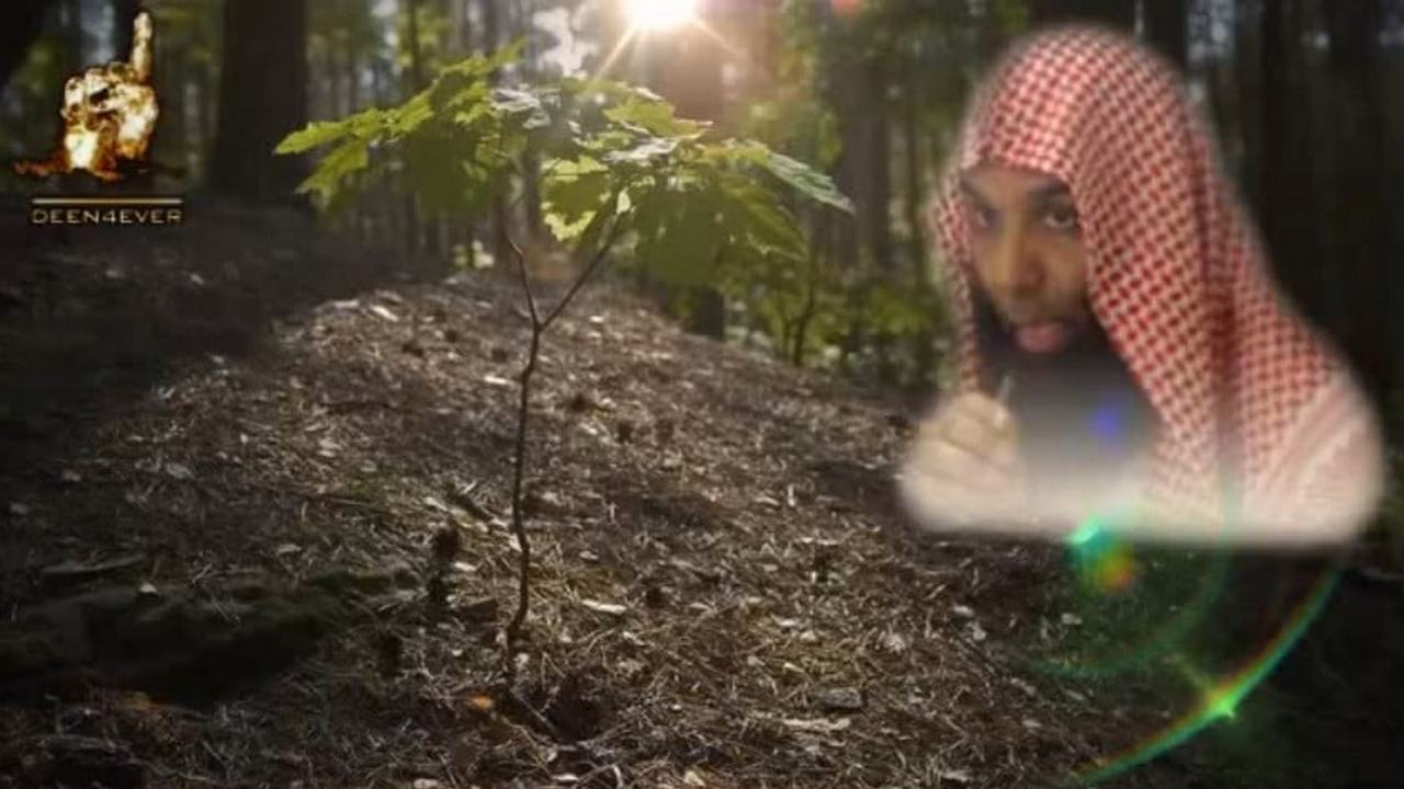 salim_histoire