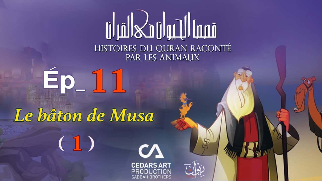 animaux_11
