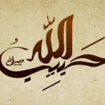 habibullah_intro