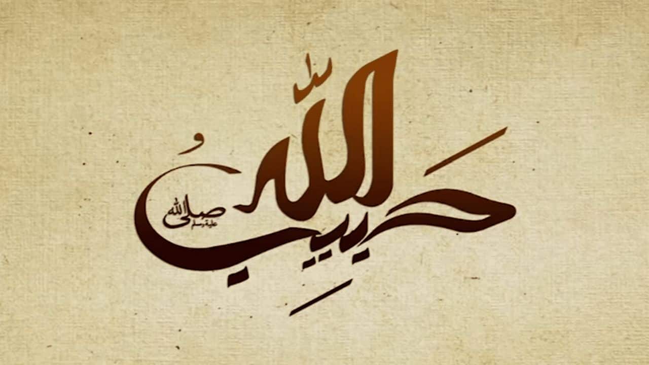 habibullah_intro