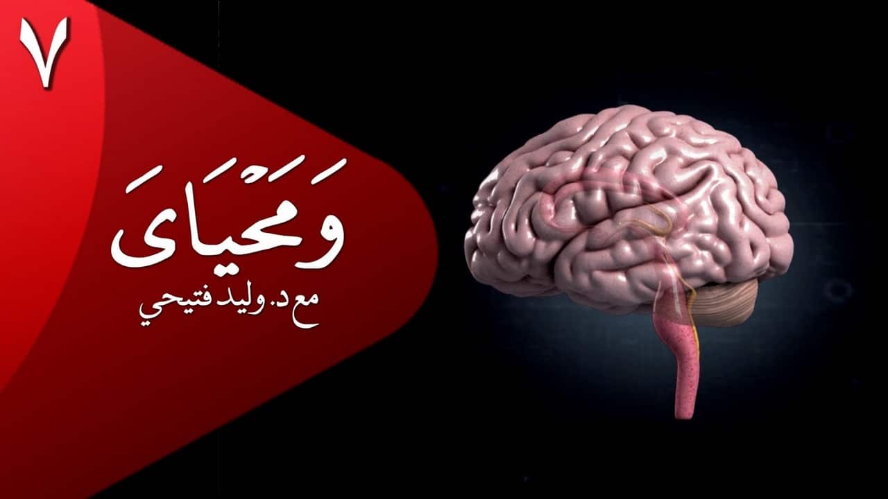 wamahyaya_07